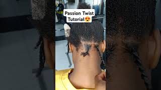 Passion Twist Tutorial 😍 tranding reels 2024 shortvideo artist [upl. by Yliram]