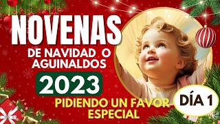 día 1 NOVENA de NAVIDAD o AGUINALDOS 🎄 16 DICIEMBRE 2023🎄COMPLETAS  pidiendo un favor muy especial [upl. by Nas662]