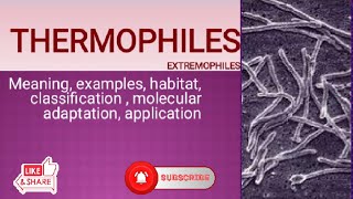 Thermophiles hyperthermophile Extremophiles classification molecular adaptation application [upl. by Travers]