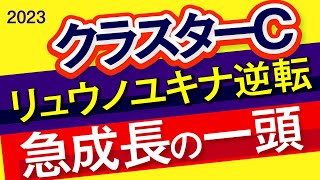 クラスターカップ2023予想・データ分析・全頭診断】リュウノユキナ逆転候補！急成長の一頭で勝負だ！リメイク、オーロラテソーロ、ドンフランキーなど参戦。 [upl. by Marka]