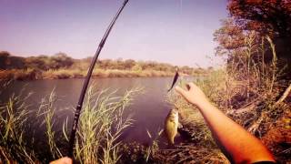 Bass fishing  Waterberg Farmstay September 2016 [upl. by Terti445]