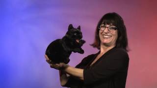 Folkmanis® Black Cat Puppet Demo [upl. by Dudley992]