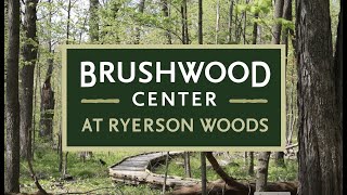 Stories from Brushwood Center 2022 [upl. by Solegna]