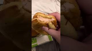 BurgerFi Burger and Fried Chicken Sandwich Review [upl. by Yleme870]