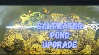 Upgraded Saltwater Pond [upl. by Janus]