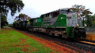 trem com locomotiva da fibria [upl. by Oisorbma]