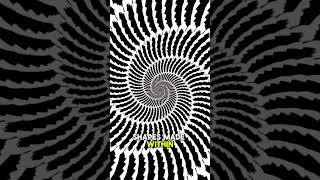 CRAZY ILLUSION  HYPNOTISE YOUR EYES AND WATCH UNTIL THE END crazyillusion illusion [upl. by Corwun]