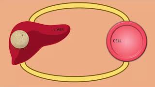 lipid digestion and absorption [upl. by Icnan557]