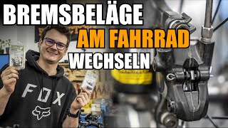 Bremsbeläge am Fahrrad wechselntauschen  Bremssattel schleiffrei einstellen [upl. by Lusar]