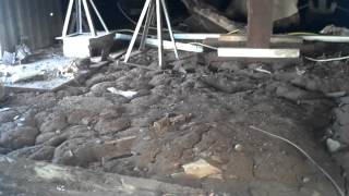 termite damage under mobile home [upl. by Haggerty]