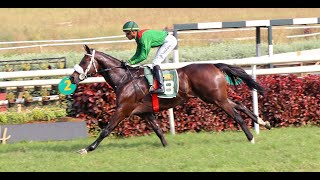 DREAM SELLER wins The Delhi Race Club Trophy [upl. by Suirauqram226]