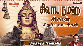 புண்ணியம் சேர்க்கும் சிவன் பாடல்கள் சிவாய நமஹ Sivaaya NamahaSPBShivarathri in Tamil சிவன் பாடல் [upl. by Kinsley]