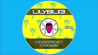 CSoundsProject  Cova Santa Original Mix 2023 [upl. by Sigismundo57]