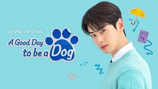 A Good Day To Be A Dog Episode 11 amp 12 2023 Release Date Time amp Where To Watch eng sub [upl. by Gabler590]