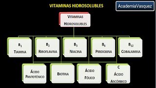 Vitaminas hidrosolubles Vitamina B1 o Tiamina [upl. by Subocaj794]