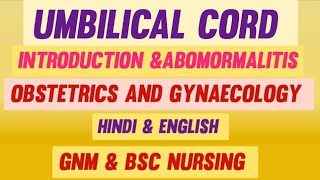 Umbilical cord otrending norcet song CHO Kgmu Abvmu GSVM BScnursing GNM [upl. by Etnasa479]