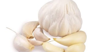 Lahsun Garlic  khane se kya fayde hote hai Garlic benefits for body night fall स्वप्नदोषघुटनो [upl. by Joell]