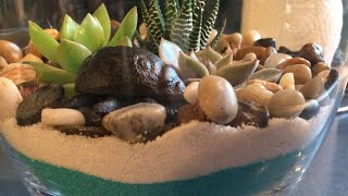 DIY Succulent Terrarium [upl. by Nairehs812]