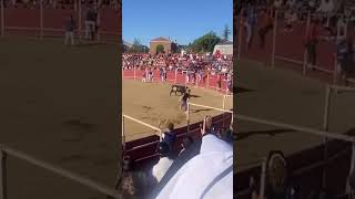 DOBLE VOLTERETA AL TORO 🐂 TOROSCERRILES toros shorts spain [upl. by Aneem]