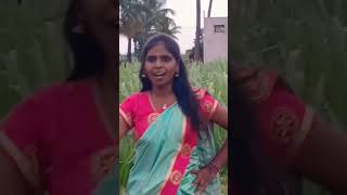 thanthane thamara poo vijayakanth sir song [upl. by Feeley]