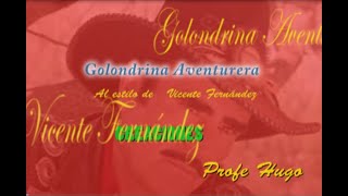 Vicente Fernández Golondrina Aventurera karaoke [upl. by Anehc555]