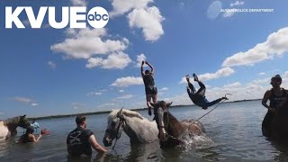 Austin Police Departments Mounted Patrol Unit cools off from the heat [upl. by Eglantine]