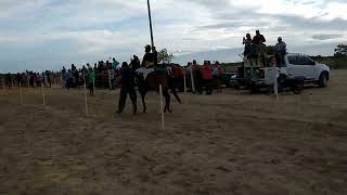 Corrida de Cavalos  Festejo do Fininho no PANova Amazônia P1 [upl. by Darreg]