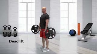 How to do a Barbell Deadlift [upl. by Ziegler]