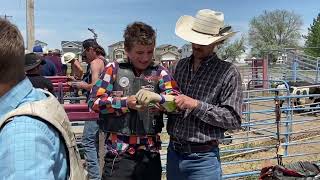 Buck Outs Practice Pen Utah Bull Riding [upl. by Sidra190]