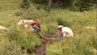 Natural Resource Management Internships  Colorado Mountain College [upl. by Lokkin229]