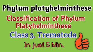 Phylum platyhelminthese classificationTrematodes ClassificationTrematode Character Trematodes [upl. by Byrn]