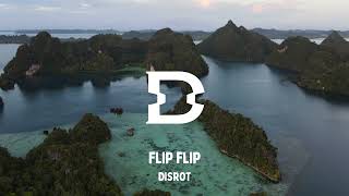 Disrot  Flip Flip No Copyright Music [upl. by Mathilda]