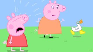 Where are Peppa Pigs Golden Boots  Peppa Pig Official Family Kids Cartoon [upl. by Glorianna810]