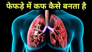 फेफड़े में बलगम कैसे बनता हैं  how mucus produce in lungs [upl. by Walling90]