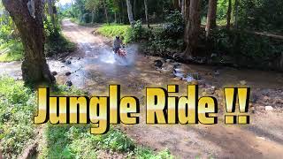 Jungle Ride  short reedit [upl. by Ivette61]