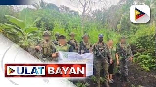 Dalawang plantasyon ng marijuana sa Kalinga sinalakay at sinunog ng PDEA [upl. by Pember]