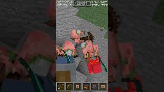 Wandering traders vs pigling sowred flight minecraft minecraftserver youtube [upl. by Tara]