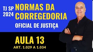 AULA 13 normasdacorregedoria oficialdejustica tjsp2024  artigos 1029 a 1033 [upl. by Rats374]