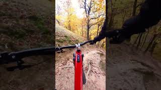 trail from the castle mtb enduro ebike insta360go3 trekbikes bosch autumn [upl. by Jeggar304]