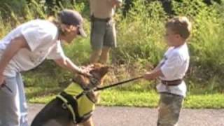 Service Dog Tethering Training [upl. by Dreda4]