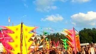 Psychedelic Circus Festival 2013  Audiomatic 01  PACELAND [upl. by Amilas99]