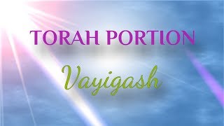 Weekly Torah Portion Vayigash [upl. by Hawger42]