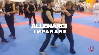 Giuncarossa wingtsun al Festival dellOriente [upl. by Bagger724]