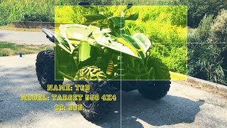 QUAD  ATV TGB TARGET 550 4x4 Exhaust LeoVince X3 Full Titanium [upl. by Alessig]