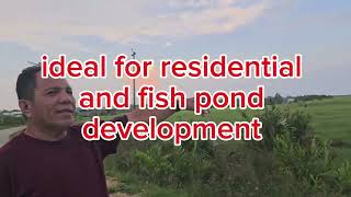 4906 sqm for sale at Clarin Bohol Philippines 350sqm [upl. by Ahsiemat]