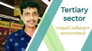 Tertiary sector  Malayalam  Deepesh Manoharan  LIFE ECONOMICS [upl. by Akemehs253]