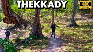 തേക്കടിയിൽ ഒരു ദിവസം  Thekkady Trekking amp Boating  Periyar Tiger Reserve  4K UHD [upl. by Salvidor113]