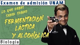 Fermentación Láctica y Alcohólica  Biología UNAM [upl. by Maleen]