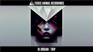 DJ Jordan  TRIP Original Mix [upl. by Eixel83]