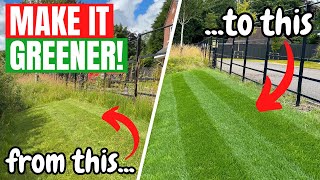 How to get a THICKER and GREENER LAWN  Its time to keep lawn care SIMPLE [upl. by Enneicul]